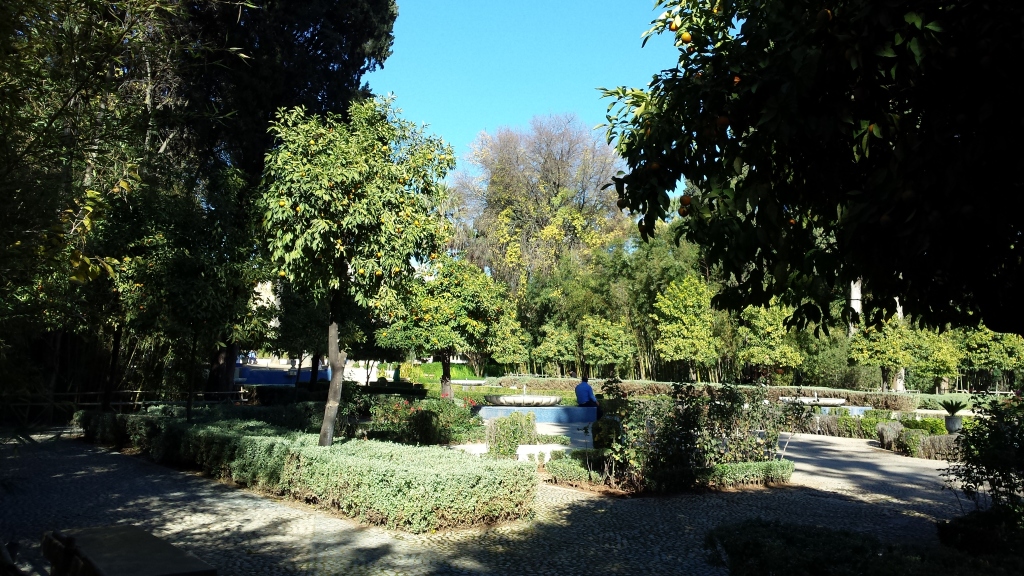 20161229_130033